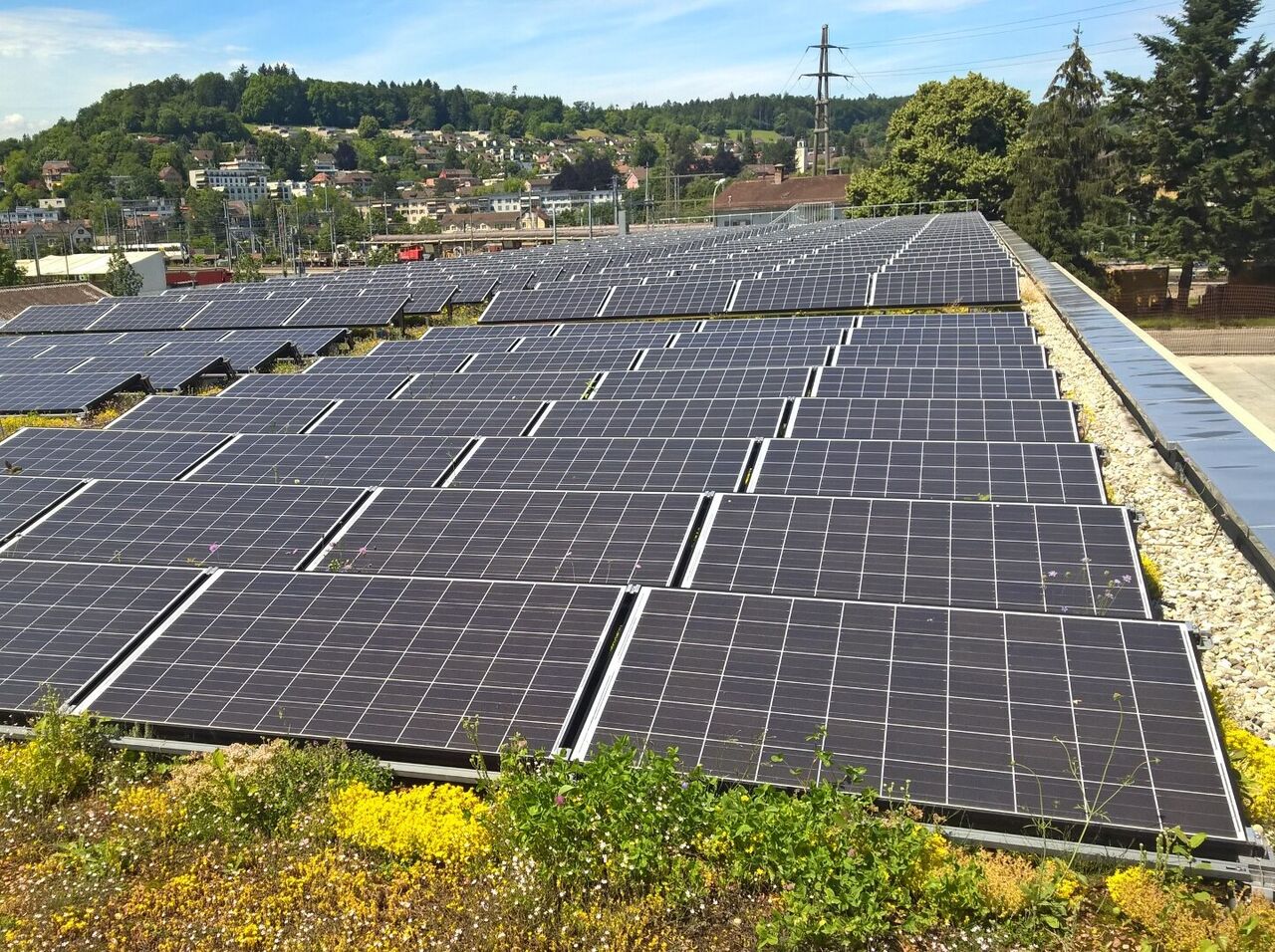Biodiverse Flachdächer liefern Strom